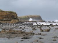 Albums/20060200-New Zealand 2006/20060313-Catlins/22